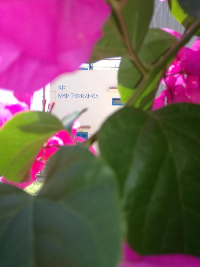 Mediterranea Guesthouse B&B Portopalo Di Capo Passero Dış mekan fotoğraf